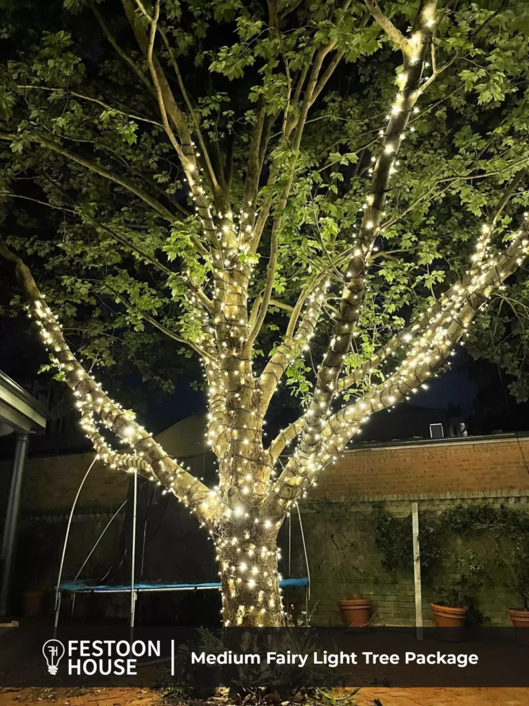 Commercial solar fairy lights shop